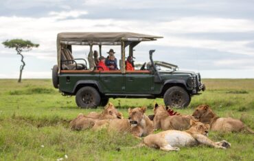 Game Viewing with Family in the Masai Mara