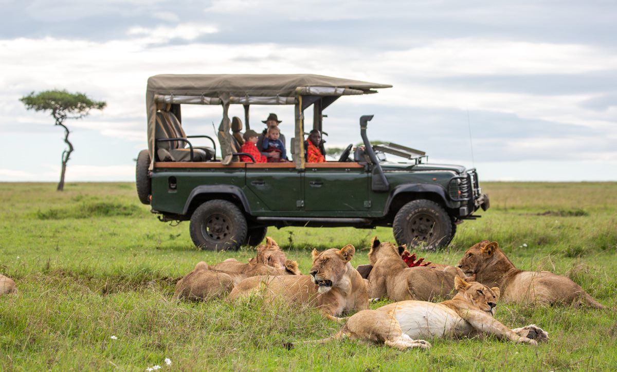 Game Viewing with Family in the Masai Mara