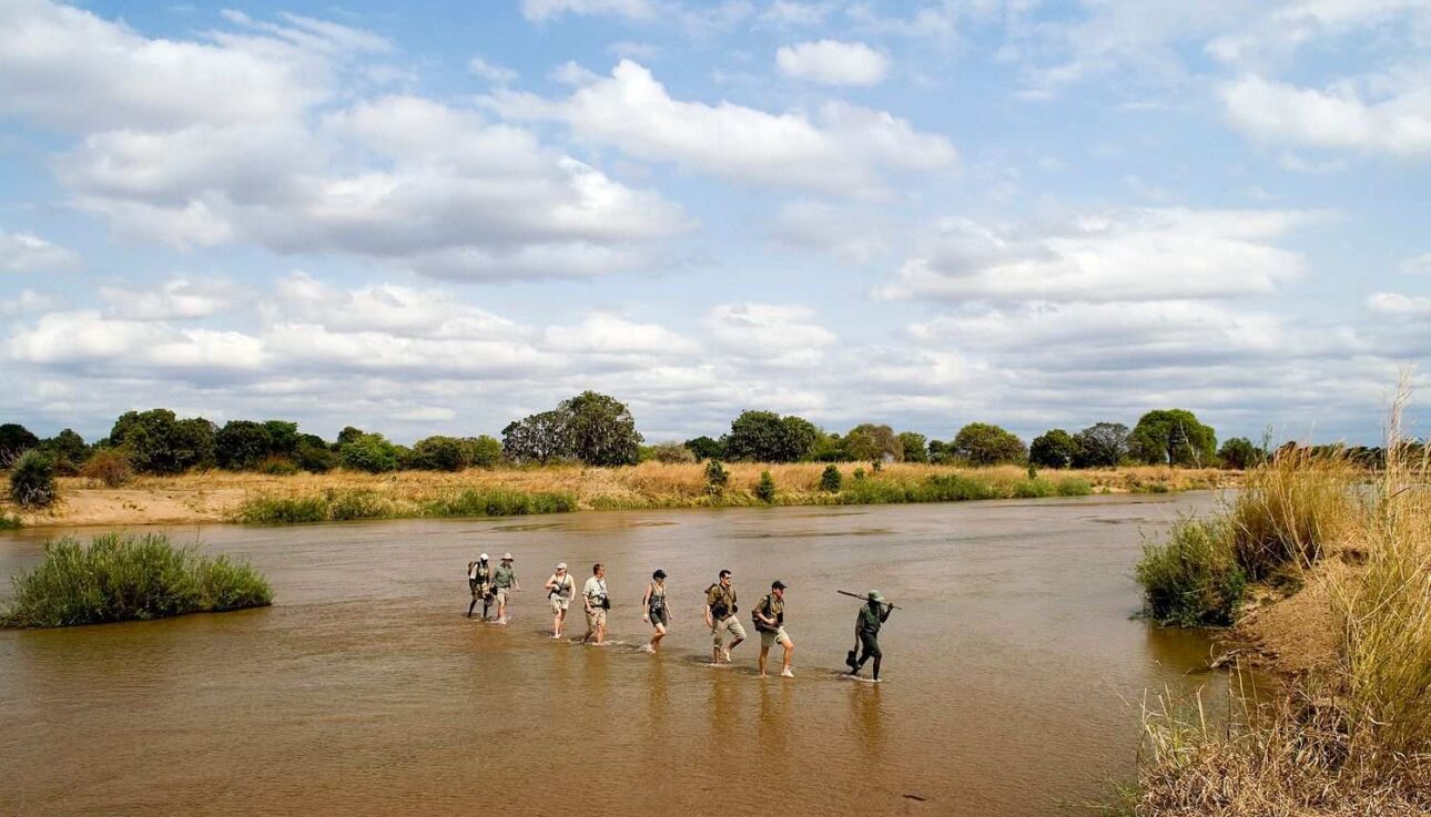 Walking safari across the Luangwa River in Zambia