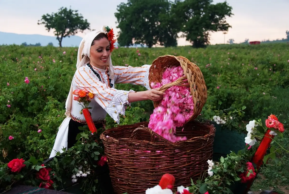 Rose Festival Bulgaria