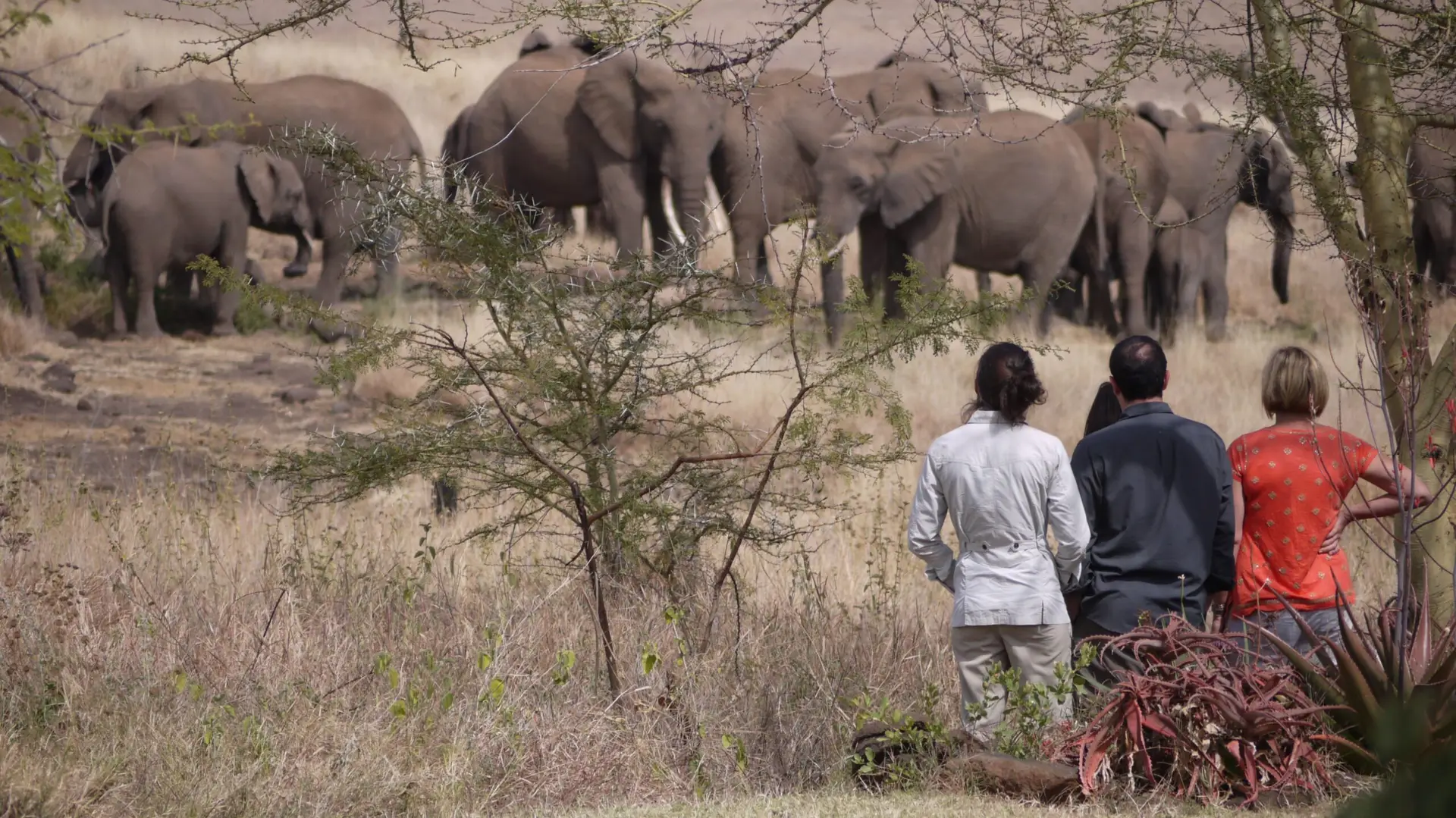 Lewa House Walking Safari