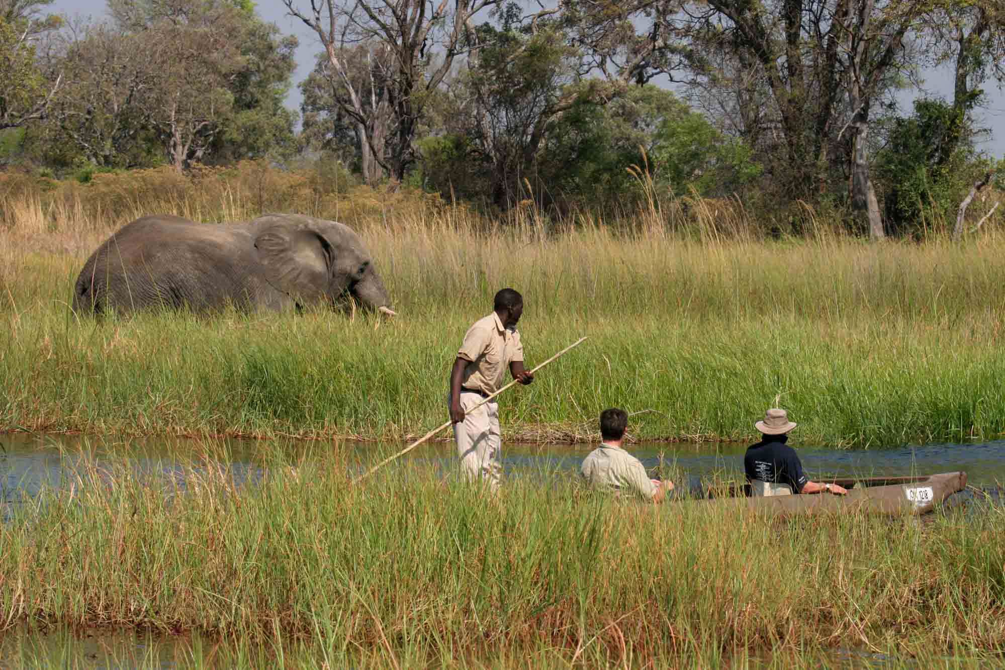 Mokoro Safari in Botswana